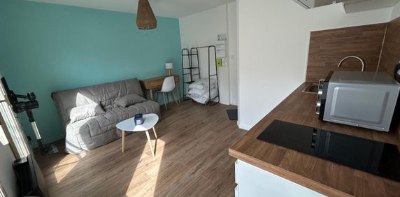 Location Appartement 1 pièce 16m² LE MANS 72000 - Photo 2