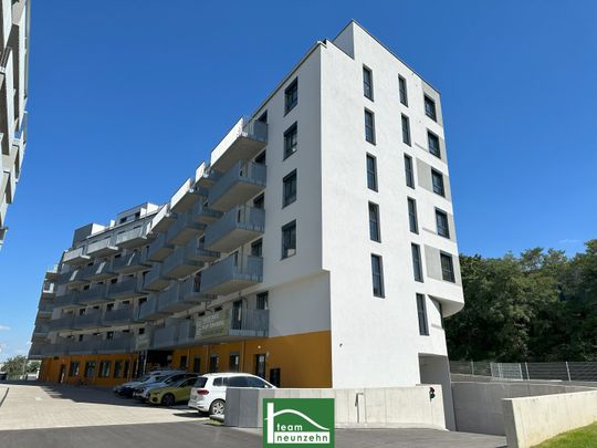 AKTION – 1. MONAT MIETZINSFREI – HEUTE BESICHTIGEN – FLEXIBEL BEZIEHEN – MICRO APARTMENTS – MODERN WOHNEN BEIM LAAER WALD – GRÜNRUHELAGE - Photo 1