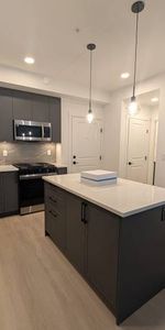 brand new 2025 built, 2 bed 2 bath condo - Photo 3