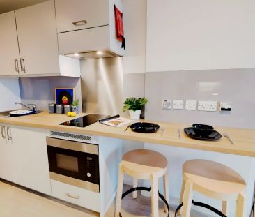 Bronze Studio Plus - Photo 5