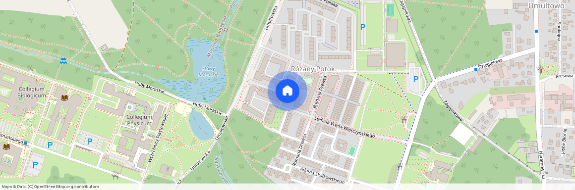 ul. Jarosława Maciejewskiego, Różany Potok, Stare Miasto, Poznań, wielkopolskie