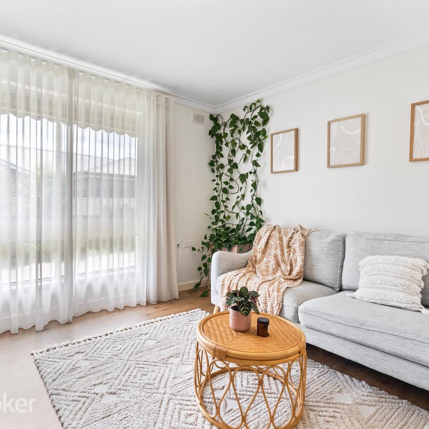 2/32 Hereford Avenue, Trinity Gardens SA 5068 - Apartment For Rent | Domain - Photo 1