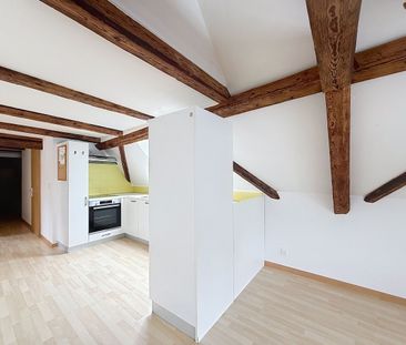 LUMINOUS 3 ½ ROOMS – With a seal in the attic! - Photo 4