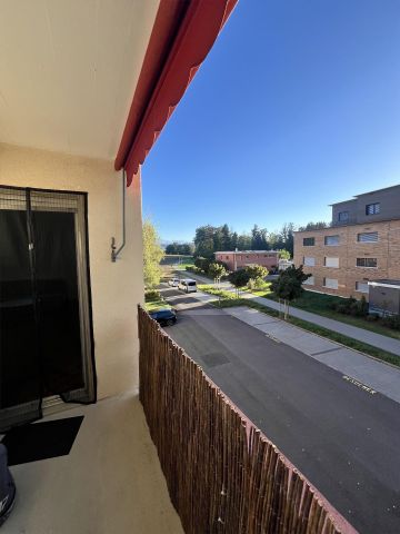 Helle 4½-Zimmer-Wohnung mit Balkon und Garagenbox in Hünenberg – ab 01 - Photo 5