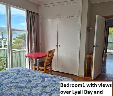 Lyall Bay views and sun - Photo 4