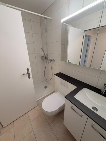 neu sanierte 2.5-Zimmerwohnung im idyllischen Rheinfelden - Foto 5