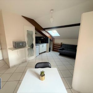 Location Appartement 1 pièce 17m² DIJON 21000 - Photo 3