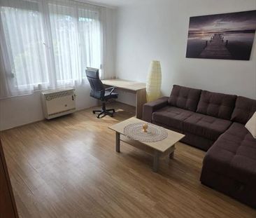 Kiadó felújított lakás - Debrecen - Fotó 6