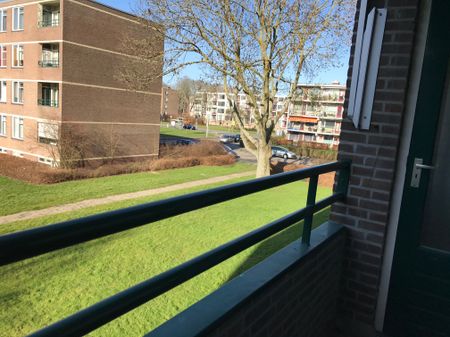 Te huur: Appartement Ruigoord 27 in Rotterdam - Foto 2