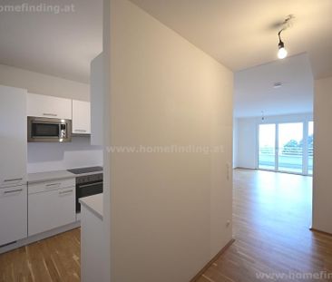 moderne 2-Zimmer-Wohnung nahe Schlosspark - große Loggia - toller B... - Foto 5