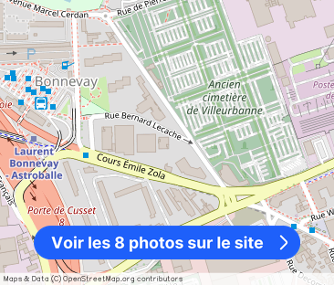 Cours Émile-Zola, Villeurbanne - Photo 1