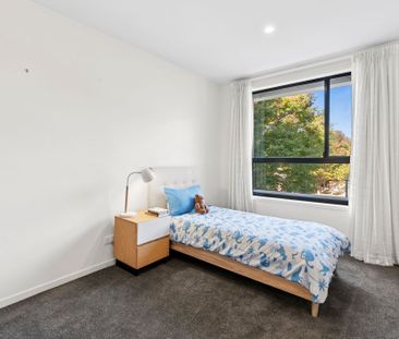 Superbly located Light Filled Apartment! - Photo 4