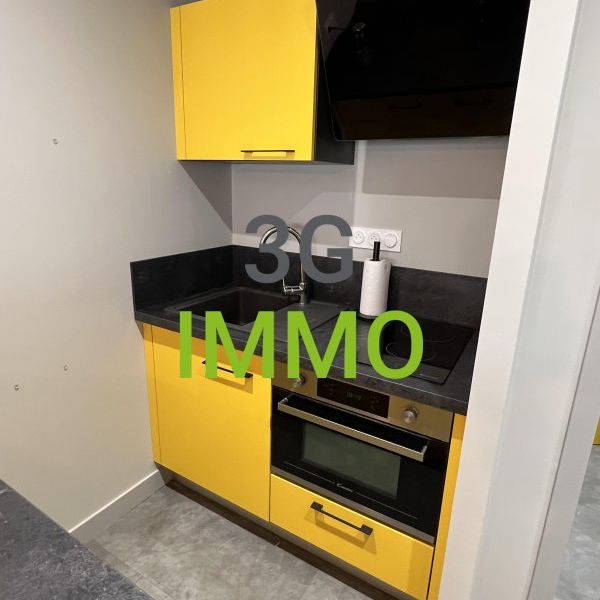 Location / Studio meublé - Photo 1