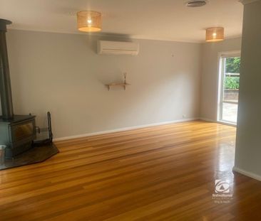 IMMACULATE - Photo 2