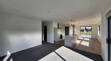 19 Larch Drive, Arbor Green, Rolleston - Photo 3