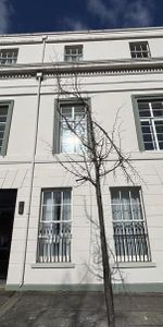Apt 8, 5 Lower Crescent, Botanic, Belfast, BT7 1NR - Photo 3