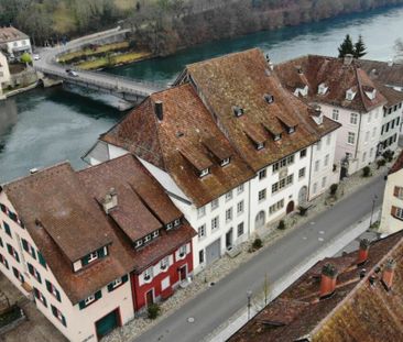 Petit mais agréable, en plein bord de Rhin ! - Photo 4