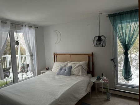 Rue du Mont-Plaisant, J8E 1L2, Mont-Tremblant - Photo 3