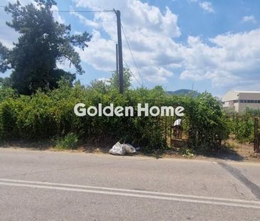 Μονοκατοικία για ενοικίαση - Αφίδνες, - Photo 2