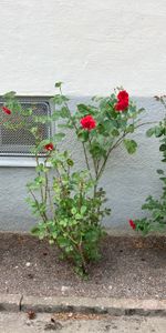 Petrejusvägen, Johanneshov - Photo 3