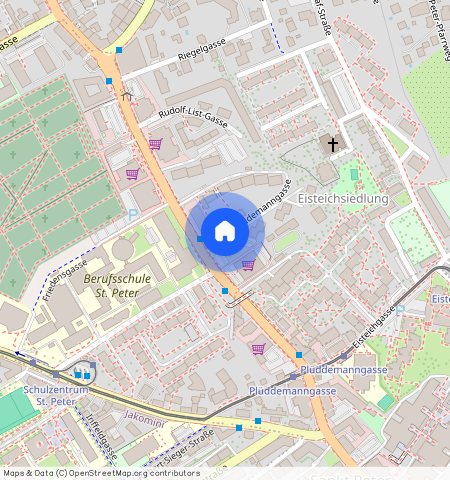 Plüddemanngasse, 8010 Graz