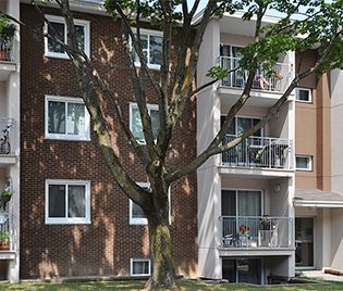 Appartements à louer à Québec - Photo 4