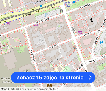 Wyjątkowe mieszkanie w kamienicy l Ścisłe centrum - Zdjęcie 1