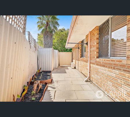 23B Dotterel Way, Yangebup, WA 6164 - Photo 4