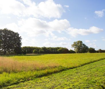 York Road Riccall YO19 - Photo 2