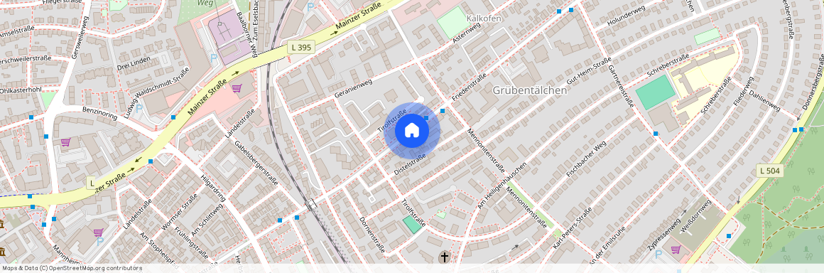 Friedenstraße 84, 67657 Kaiserslautern