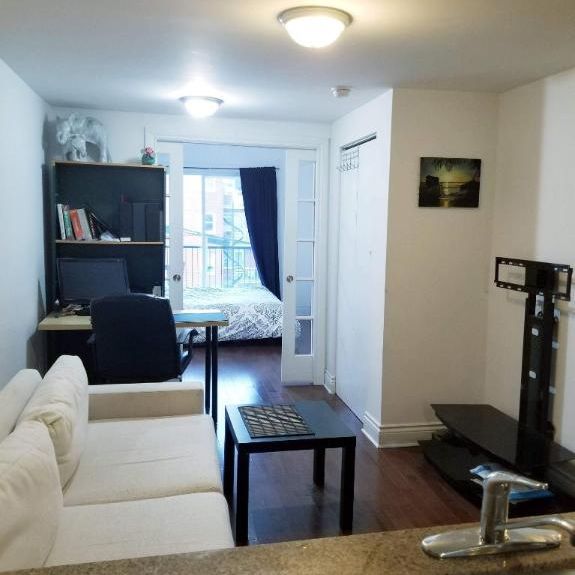 1 CH - 1 SDB - Montréal - $1,150 /mo - Photo 1