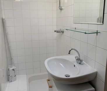 Location Appartement 1 pièce 14m² PONT DE CHERUY 38230 - Photo 3