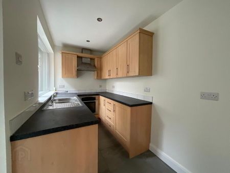 25 Rutherglen Street, Belfast, BT13 3LR - Photo 3