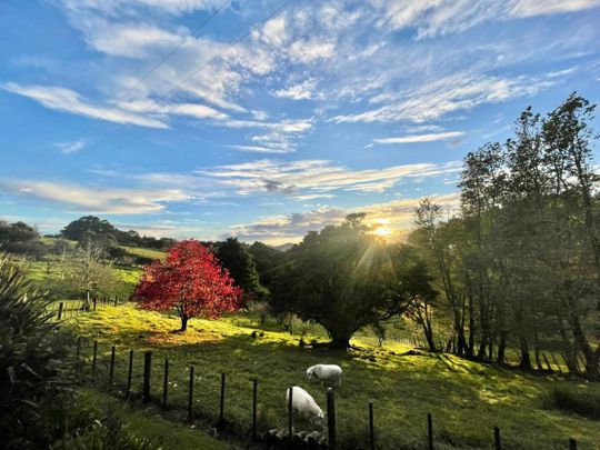 Valley Views and Fresh Eggs Await! - Photo 1