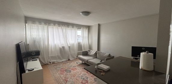 47- 146 Stewart St - Photo 2