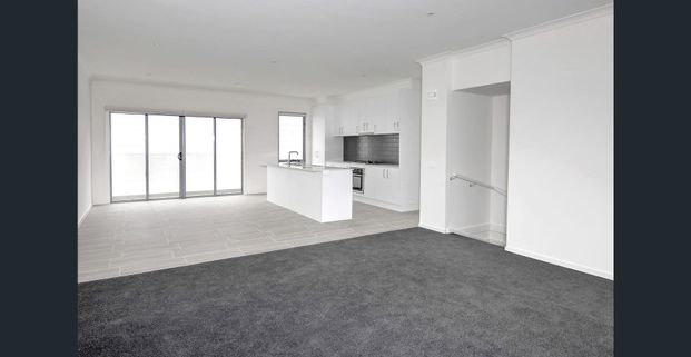 Renovated, Bright and Blissful - Photo 1