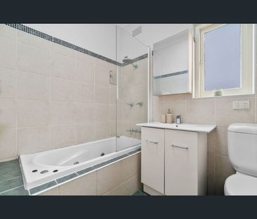 41 Ann Street, Willoughby, NSW 2068 - Photo 5