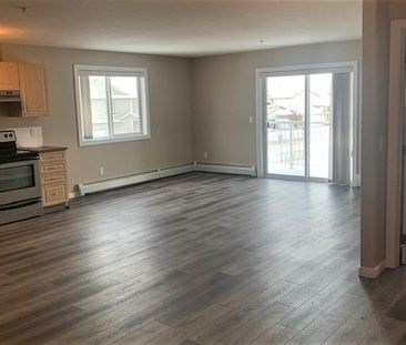 2 Bed Spacious Condo For Rent In Spruce Grove. Two Parking Stalls. - Photo 4