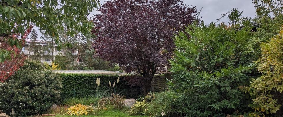 Ein Gefühl wie im eigenen Haus: Helle EG-Wohnung mit Garten - Foto 1