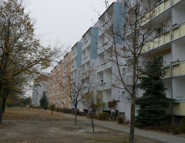 3 Raum-Wohnung mit Balkon - Photo 1