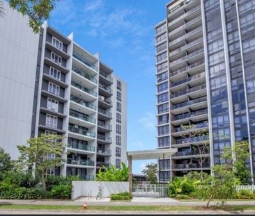 Varsity Lakes - Photo 2