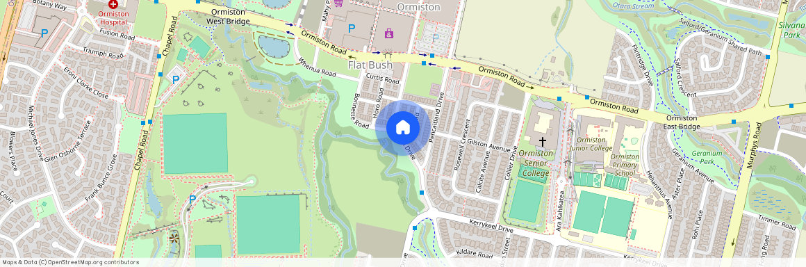 39 Haddington Drive, Flat Bush, Manukau City