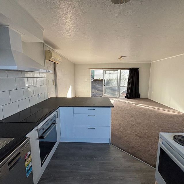 Renovated two bedroom unit with views in town - Photo 1