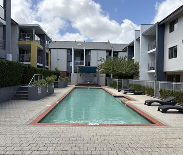 City Oasis - Photo 3