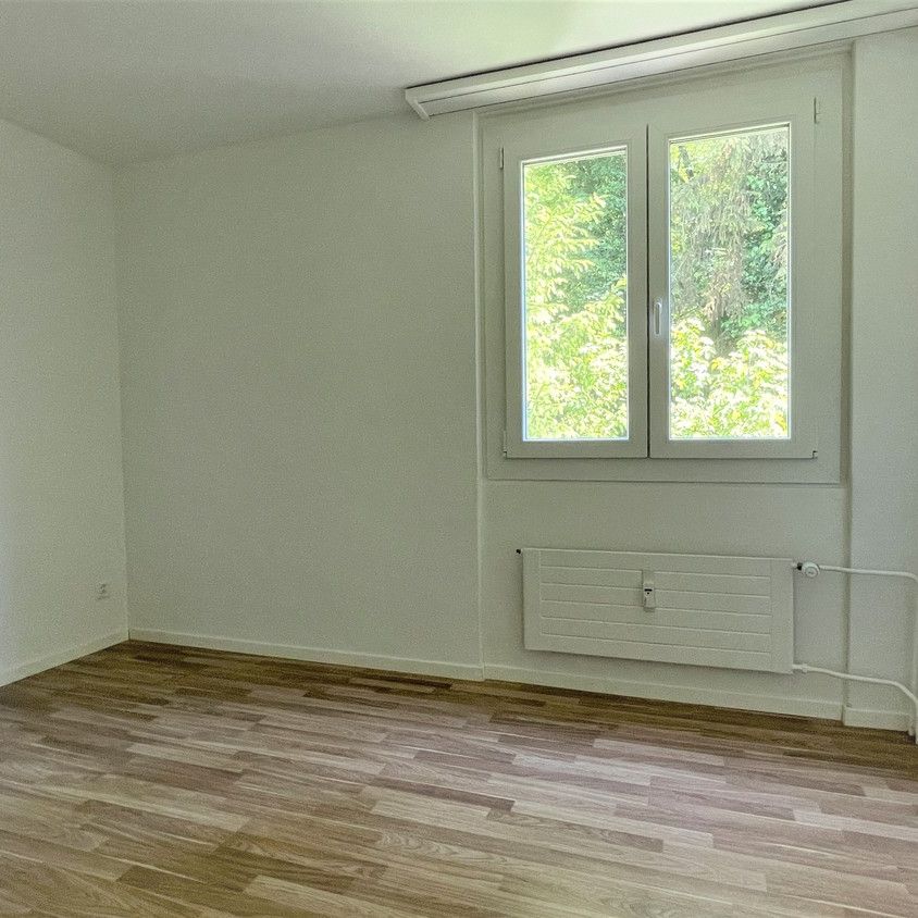 Rent a 3 ½ rooms apartment in Rorschacherberg - Foto 1