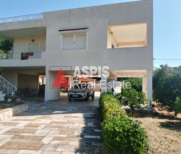 Μονοκατοικία, προς ενοικίαση Πόρτο Ράφτη, Μαρκόπουλο Κωδικός 2652520 - Photo 1
