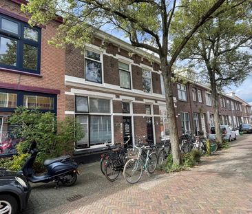 Kamer, Anjelierstraat - Photo 1