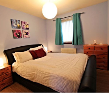 1 Bedroom - Photo 2