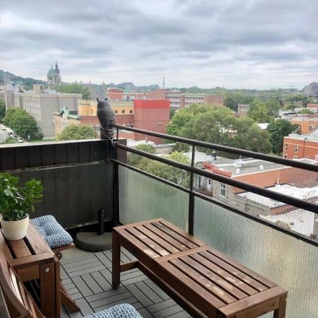 1 1/2 - Montréal (Le Plateau Mont-Royal) - 1 280 $/mois - Photo 3