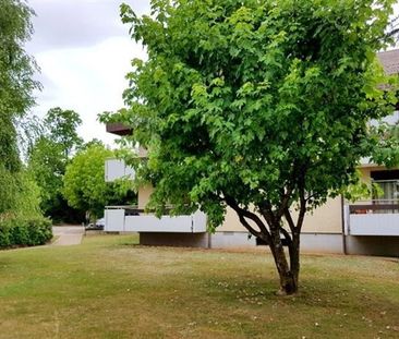 4 Zimmer, EG - Photo 6
